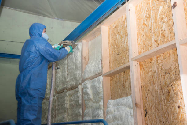 Best Professional Insulation Contractor  in USA